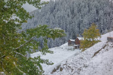 İsviçre dağlarında sonbahar.