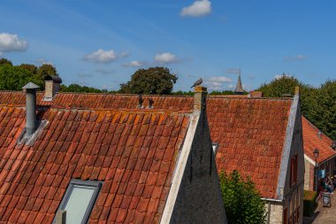 Hollanda 'nın tarihi Bourtange köyü.