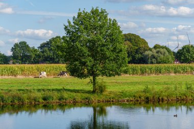 Hollanda 'nın tarihi Bourtange köyü.