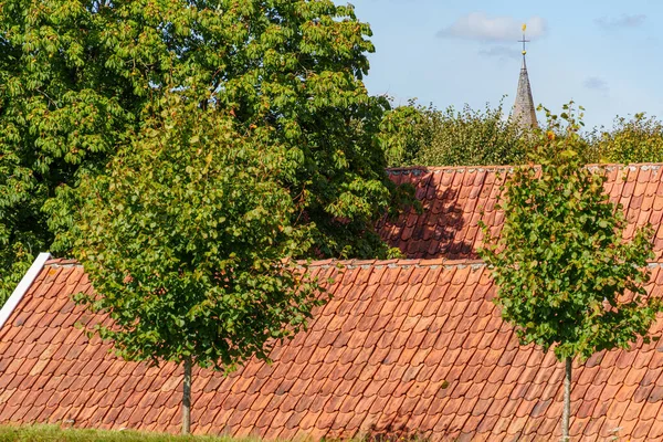 Hollanda 'nın tarihi Bourtange köyü.