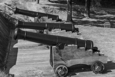 Hollanda 'nın tarihi Bourtange köyü.