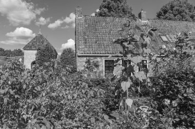 Hollanda 'nın tarihi Bourtange köyü.