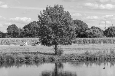 Papenburg Almanya 'daki ems nehrinde.