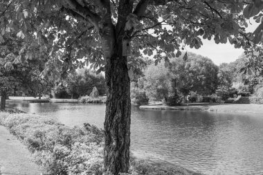 Papenburg Almanya 'daki ems nehrinde.