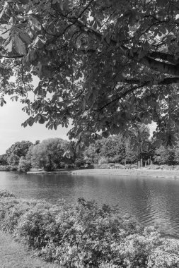 Papenburg Almanya 'daki ems nehrinde.