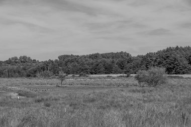 Almanya Emsland 'daki Em Nehri' nde.