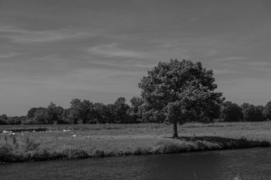 Almanya Emsland 'daki Em Nehri' nde.
