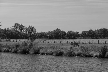 Almanya Emsland 'daki Em Nehri' nde.
