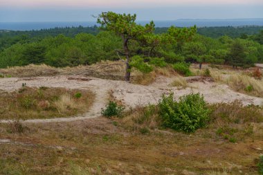 Vlieland Hollanda adasında yaz mevsimi