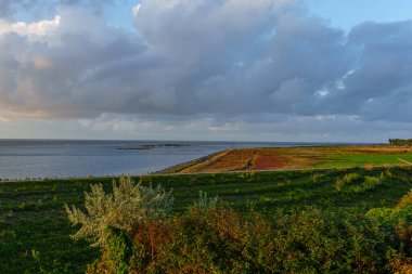 Vlieland Hollanda adasında yaz mevsimi