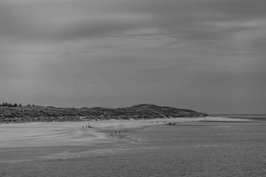Vlieland Hollanda adasında yaz mevsimi