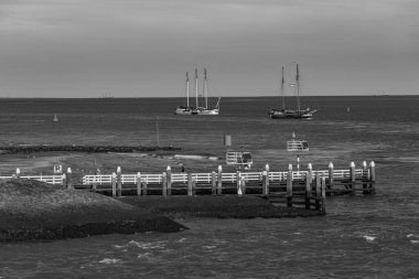 Vlieland Hollanda adasında yaz mevsimi