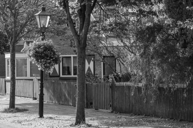 Hollanda 'daki Vlieland Adası.