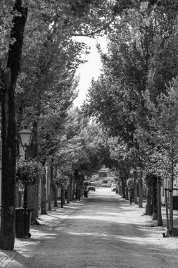 Hollanda 'daki Vlieland Adası.