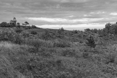 Hollanda 'daki Vlieland Adası.