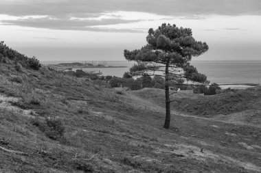 Hollanda 'daki Vlieland Adası.