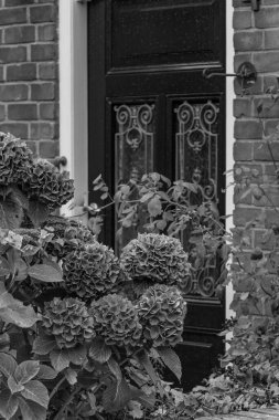 Hollanda 'daki Vlieland Adası.