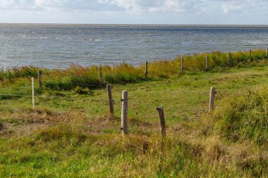 Hollanda 'daki Vlieland Adası.