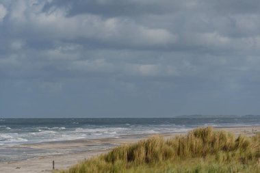 Kuzey Denizi 'ndeki Hollanda adası.