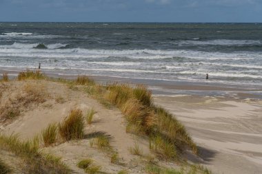Kuzey Denizi 'ndeki Hollanda adası.