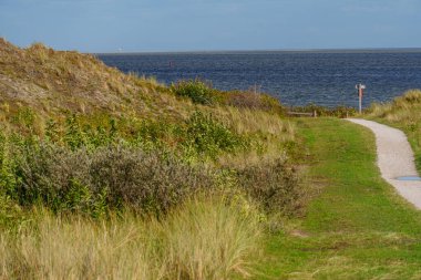 Kuzey Denizi 'ndeki Vlieland Adası