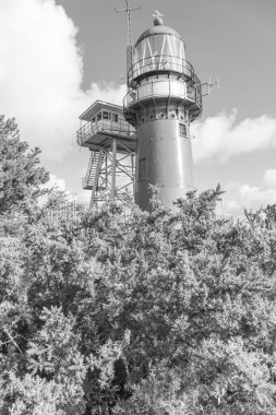 Kuzey Denizi 'ndeki Vlieland Adası