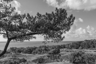 Kuzey Denizi 'ndeki Vlieland Adası