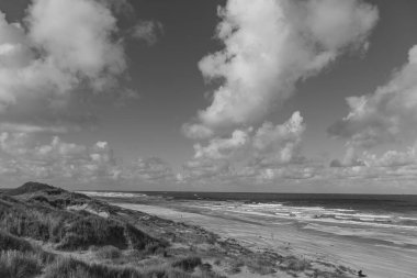 Kuzey Denizi 'ndeki Vlieland Adası