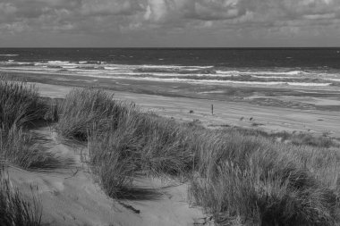 Kuzey Denizi 'ndeki Vlieland Adası