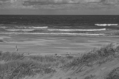 Kuzey Denizi 'ndeki Vlieland Adası