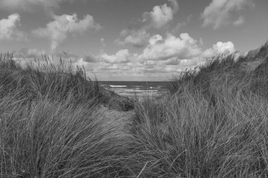 Kuzey Denizi 'ndeki Vlieland Adası