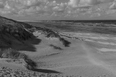 Kuzey Denizi 'ndeki Vlieland adası.