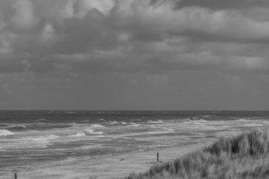 Kuzey Denizi 'ndeki Vlieland adası.