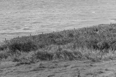 Kuzey Denizi 'ndeki Vlieland adası.
