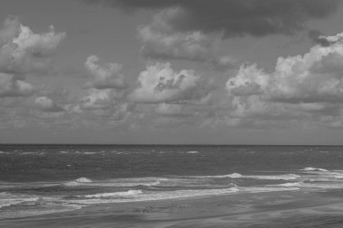 Kuzey Denizi 'ndeki Vlieland adası.