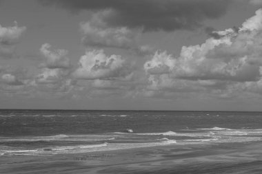 Kuzey Denizi 'ndeki Vlieland adası.