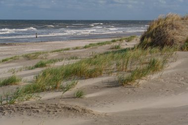 Kuzey Denizi 'ndeki Vlieland Adası