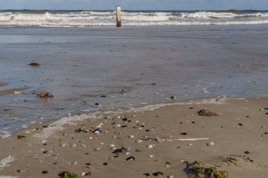 Kuzey Denizi 'ndeki Vlieland Adası