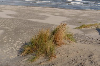 Kuzey Denizi 'ndeki Vlieland Adası