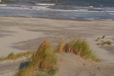 Kuzey Denizi 'ndeki Vlieland Adası