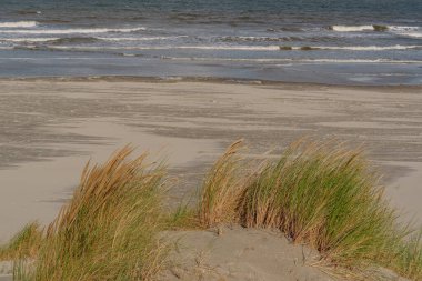Kuzey Denizi 'ndeki Vlieland Adası