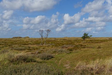 Hollanda 'daki Vlieland Adası