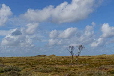 Hollanda 'daki Vlieland Adası