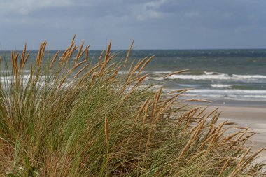 Hollanda 'daki Vlieland Adası