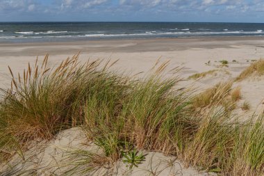 Hollanda 'daki Vlieland Adası