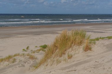 Hollanda 'daki Vlieland Adası