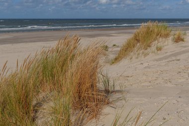 Hollanda 'daki Vlieland Adası