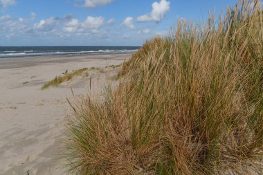 Hollanda 'daki Vlieland Adası