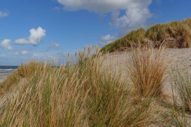 Hollanda 'daki Vlieland Adası