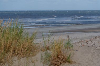 Hollanda 'daki Vlieland Adası